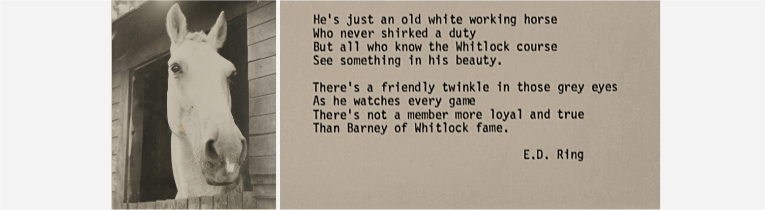 Barney